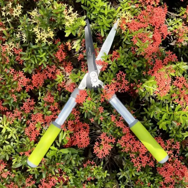 Hedge Shears
