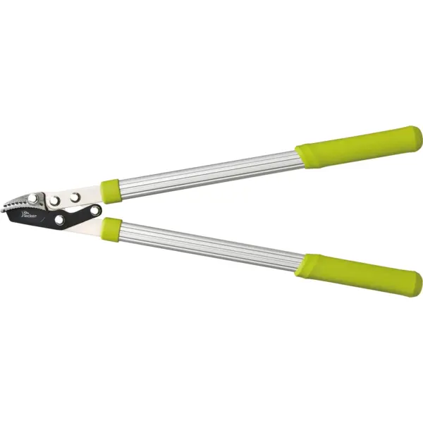 Lopping Shears