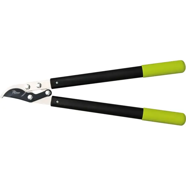 Lopping Shears