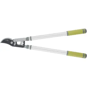 Lopping Shears