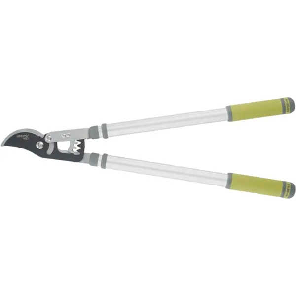 Lopping Shears