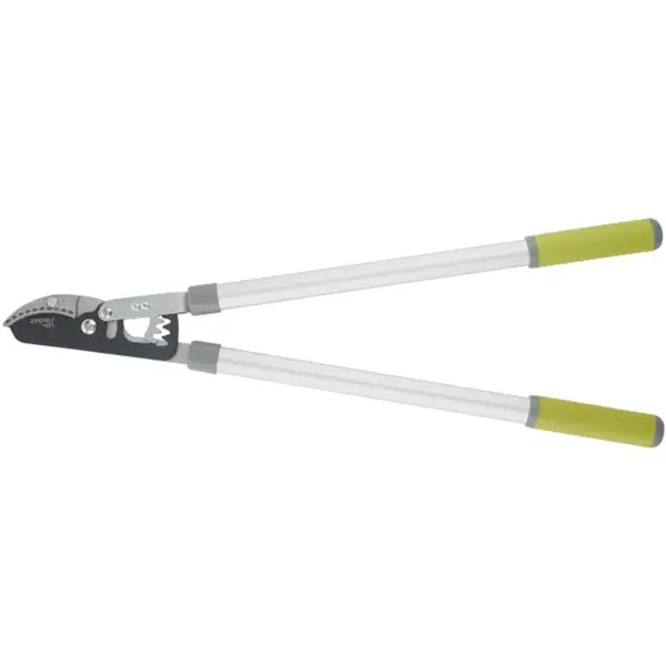 Lopping Shears