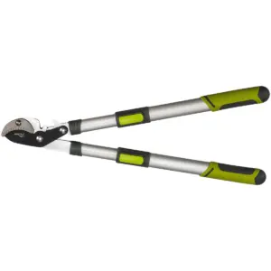 Lopping Shears