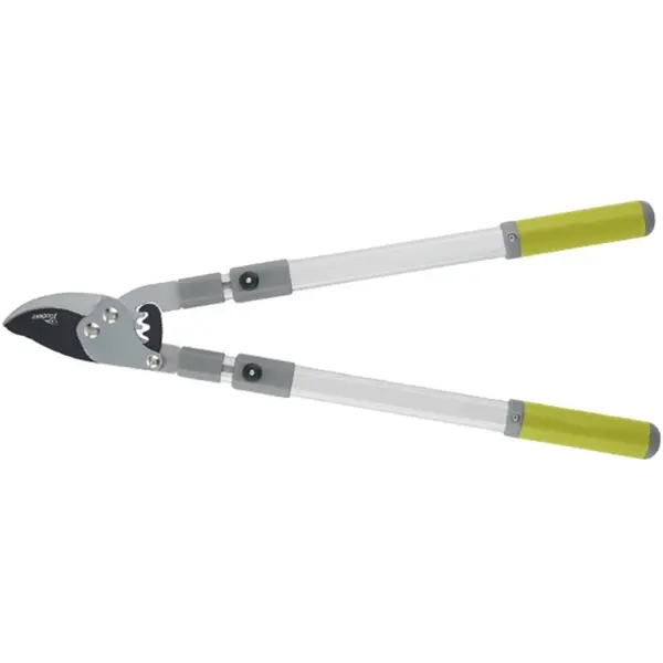 Lopping Shears