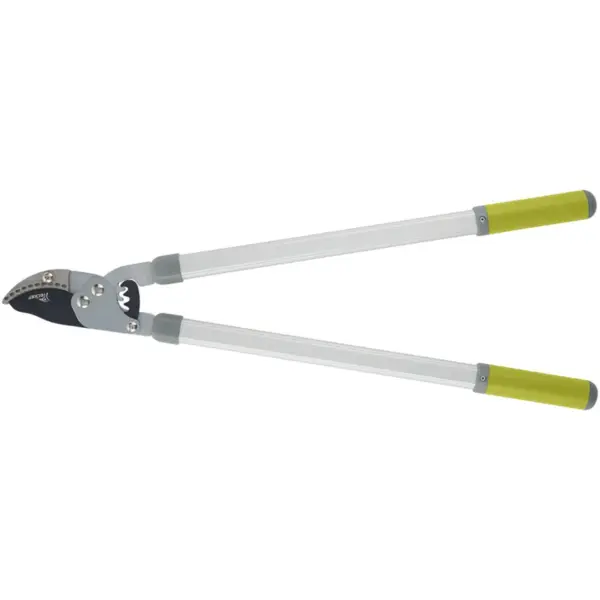 Lopping Shears