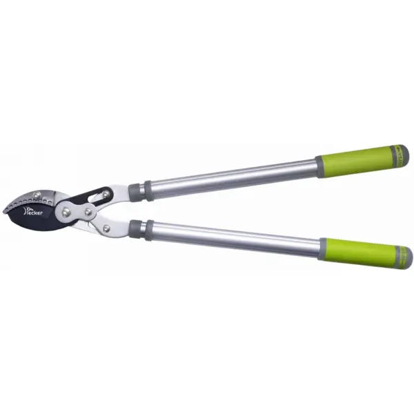 Lopping Shears