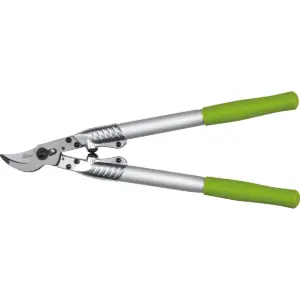 Lopping Shears