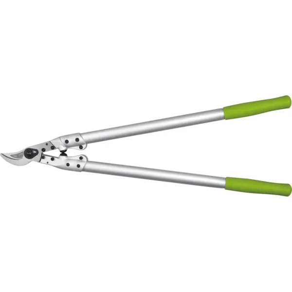 Lopping Shears