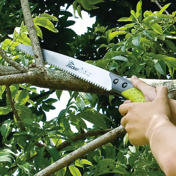 Pruning Saws