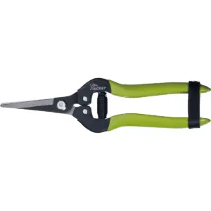 pruning shears
