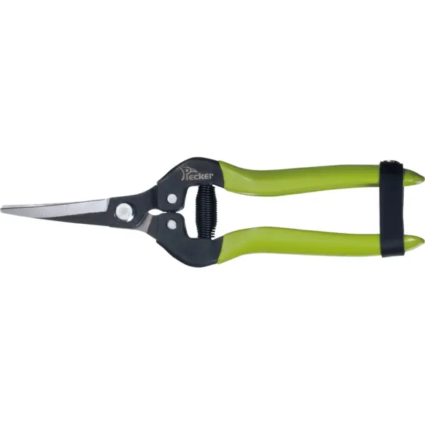 pruning shears