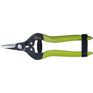 pruning shears