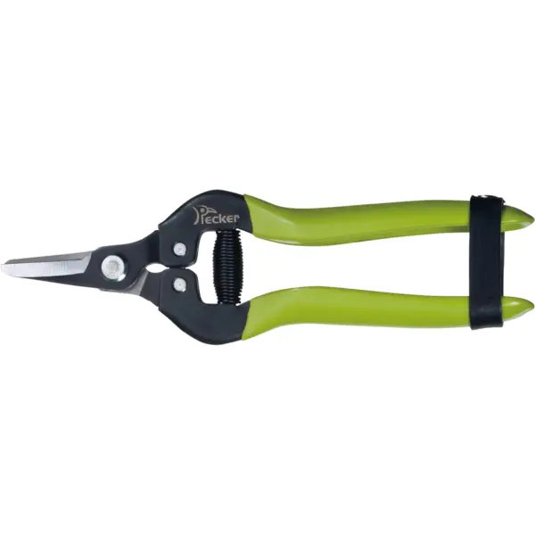 pruning shears