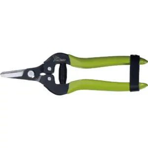 pruning shears