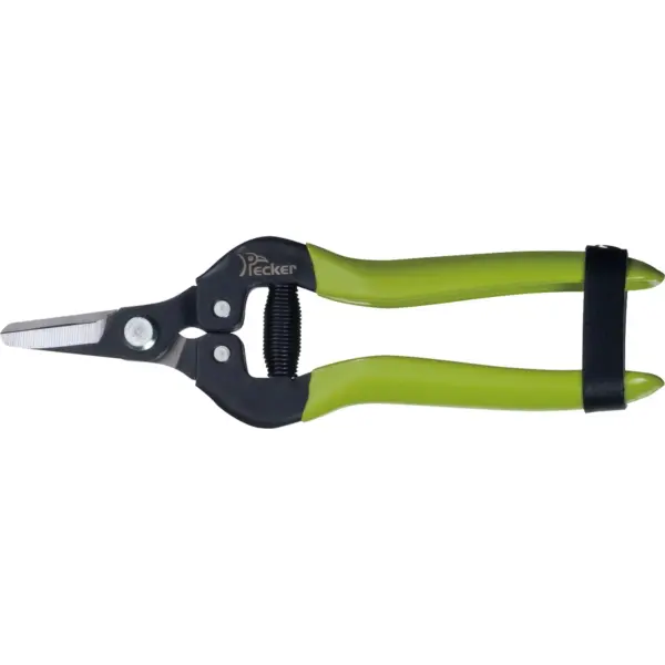 pruning shears