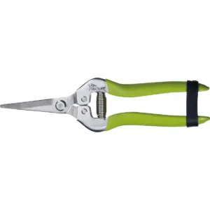 pruning shears