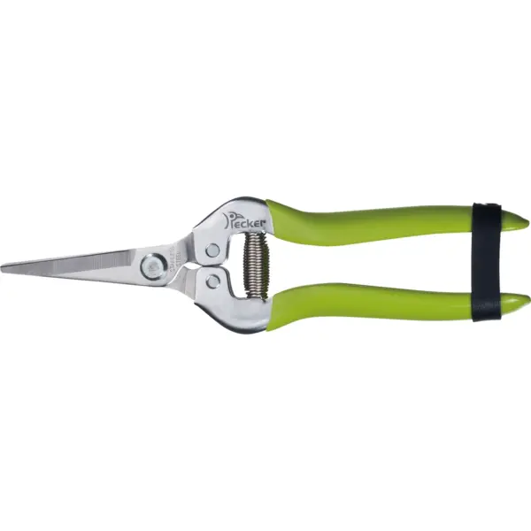 pruning shears