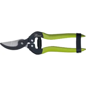 pruning shears