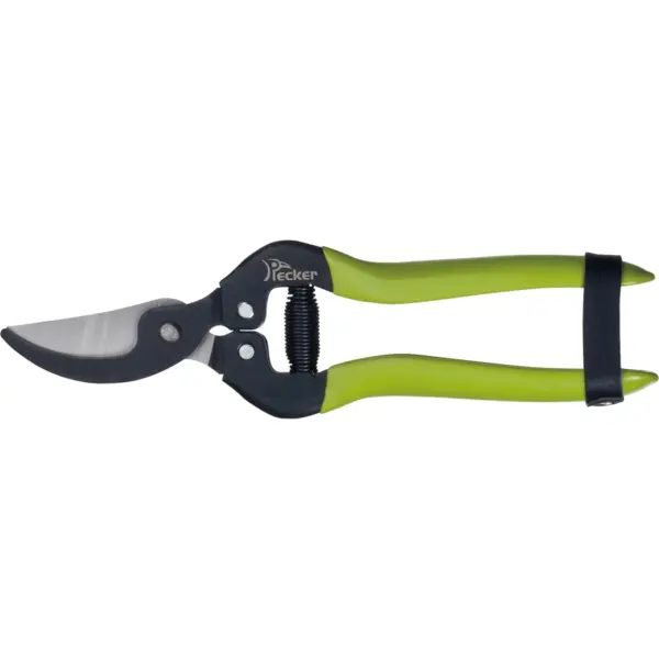 pruning shears