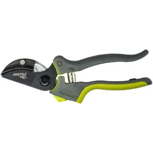 pruning shears