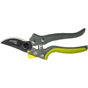pruning shears