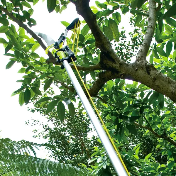 Tree Pruners