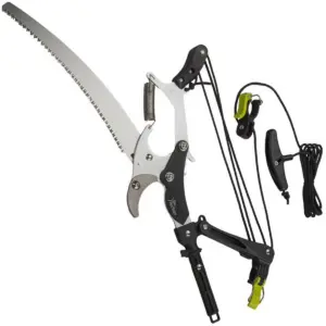 Tree Pruners