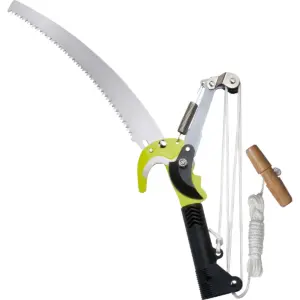 Tree Pruners